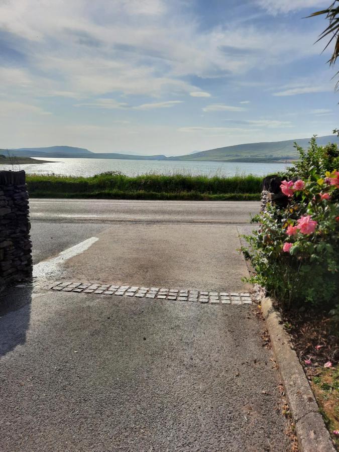 Green Garden Meets Blue Sea For 2 People Dingle Exteriör bild
